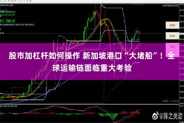 股市加杠杆如何操作 新加坡港口“大堵船”！全球运输链面临重大考验