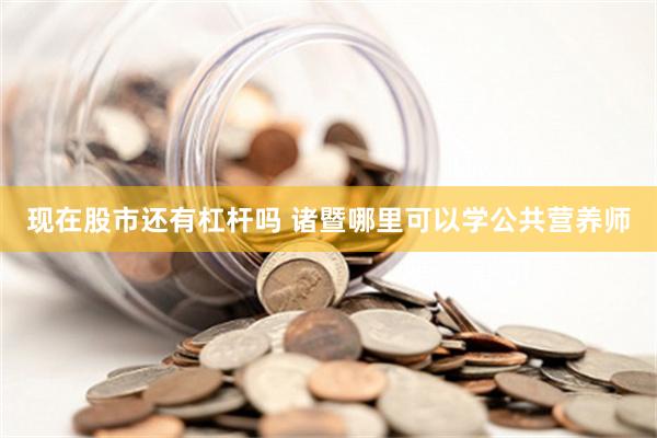 现在股市还有杠杆吗 诸暨哪里可以学公共营养师