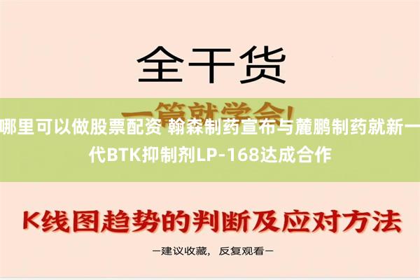 哪里可以做股票配资 翰森制药宣布与麓鹏制药就新一代BTK抑制剂LP-168达成合作