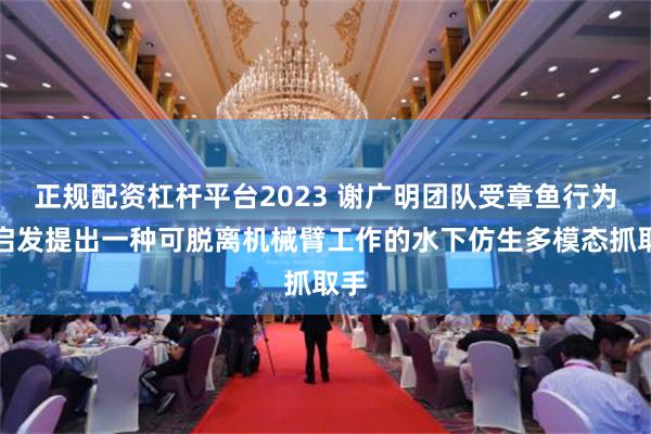 正规配资杠杆平台2023 谢广明团队受章鱼行为库启发提出一种可脱离机械臂工作的水下仿生多模态抓取手