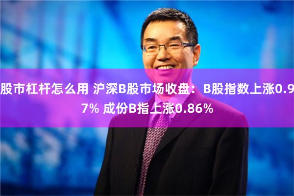 股市杠杆怎么用 沪深B股市场收盘：B股指数上涨0.97% 成份B指上涨0.86%