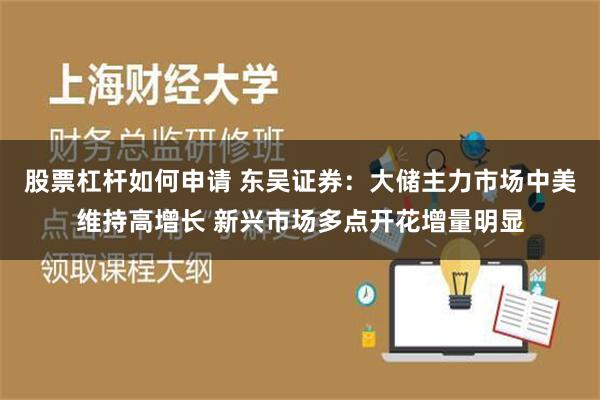 股票杠杆如何申请 东吴证券：大储主力市场中美维持高增长 新兴市场多点开花增量明显