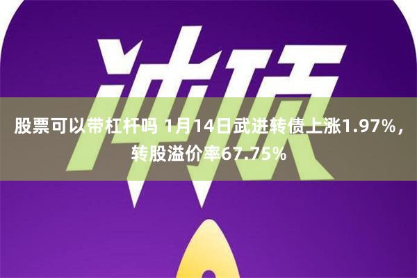 股票可以带杠杆吗 1月14日武进转债上涨1.97%，转股溢价率67.75%