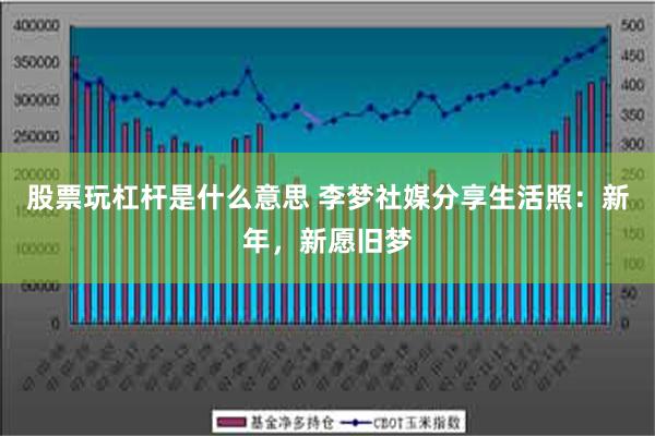 股票玩杠杆是什么意思 李梦社媒分享生活照：新年，新愿旧梦