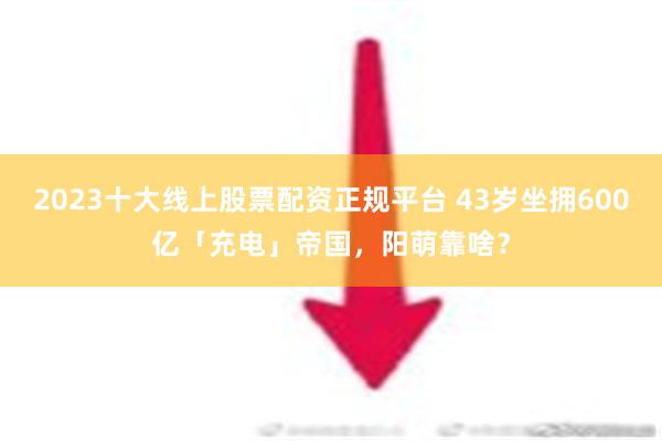 2023十大线上股票配资正规平台 43岁坐拥600亿「充电」帝国，阳萌靠啥？